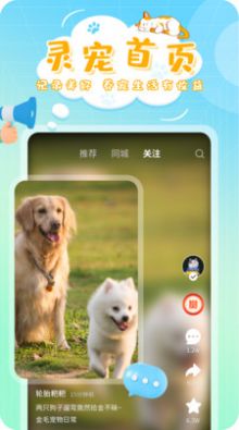 灵宠大陆宠物社交app官方