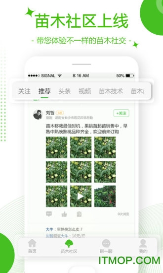 苗木通app