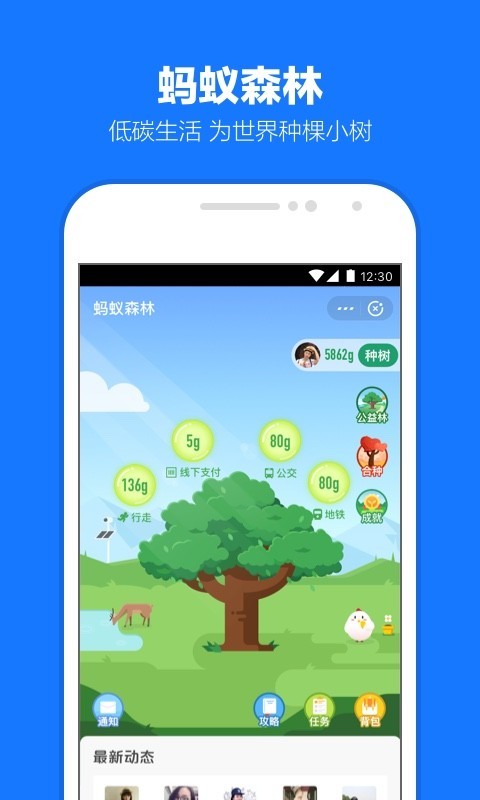 支付宝app长辈模式官方