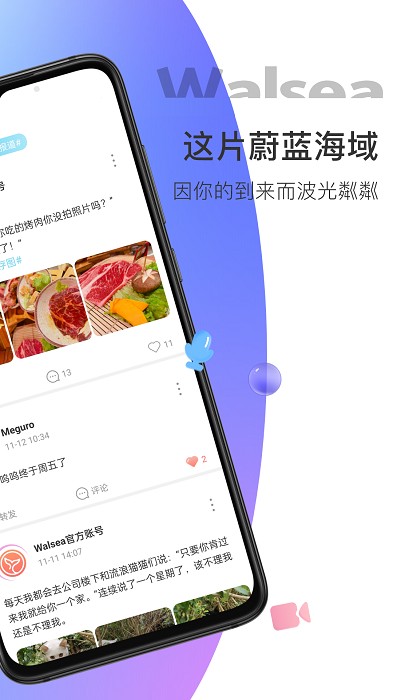 Walsea平台app