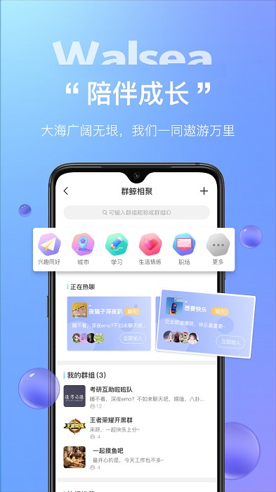 Walsea平台app
