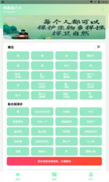 纯真盒丁真