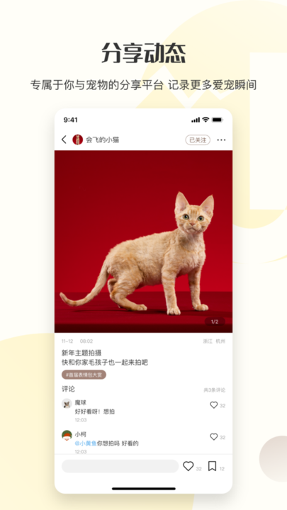 集宠区app