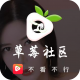 草莓社区2022入口1.8.2