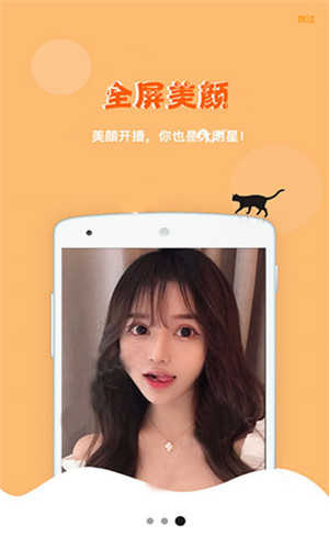 鲍鱼t