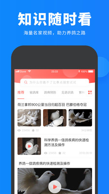 搜鸽网app