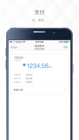 Ledger Wallet