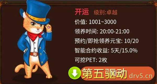 全民养猫咪