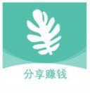 绿萝网app