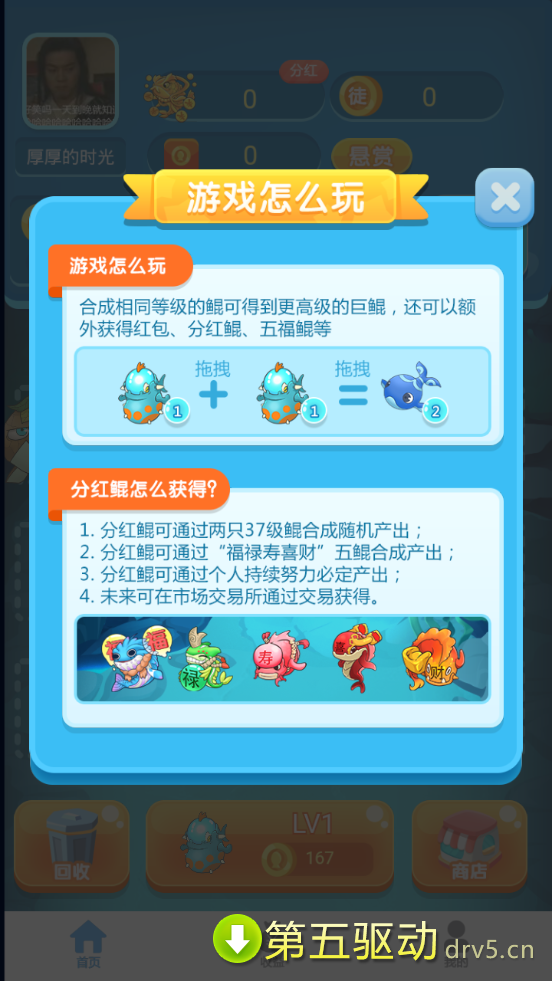 养鲲赚钱