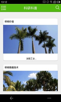 棕榈