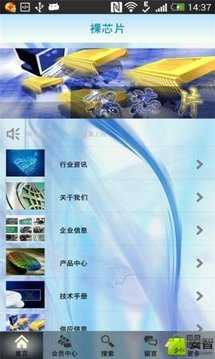 裸芯片