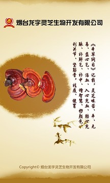 龙宇灵芝
