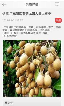 攀西水果