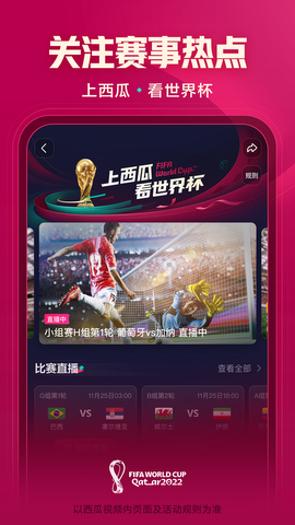 西瓜视频app