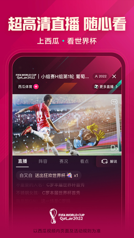 西瓜视频app