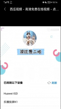 莲蓬影视投屏