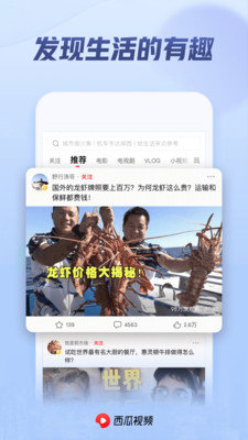 西瓜影视2022最新电影