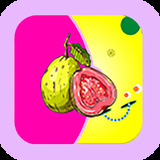 芭乐视频app视频ios大全