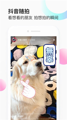 小窝电影院app