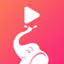 大象视频app