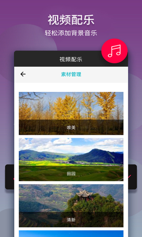 TikTok国际版