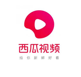 西瓜视频手机版