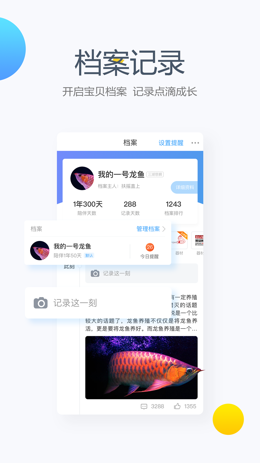龙巅app