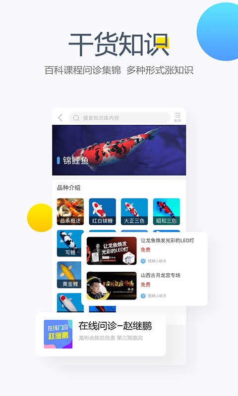 龙巅app