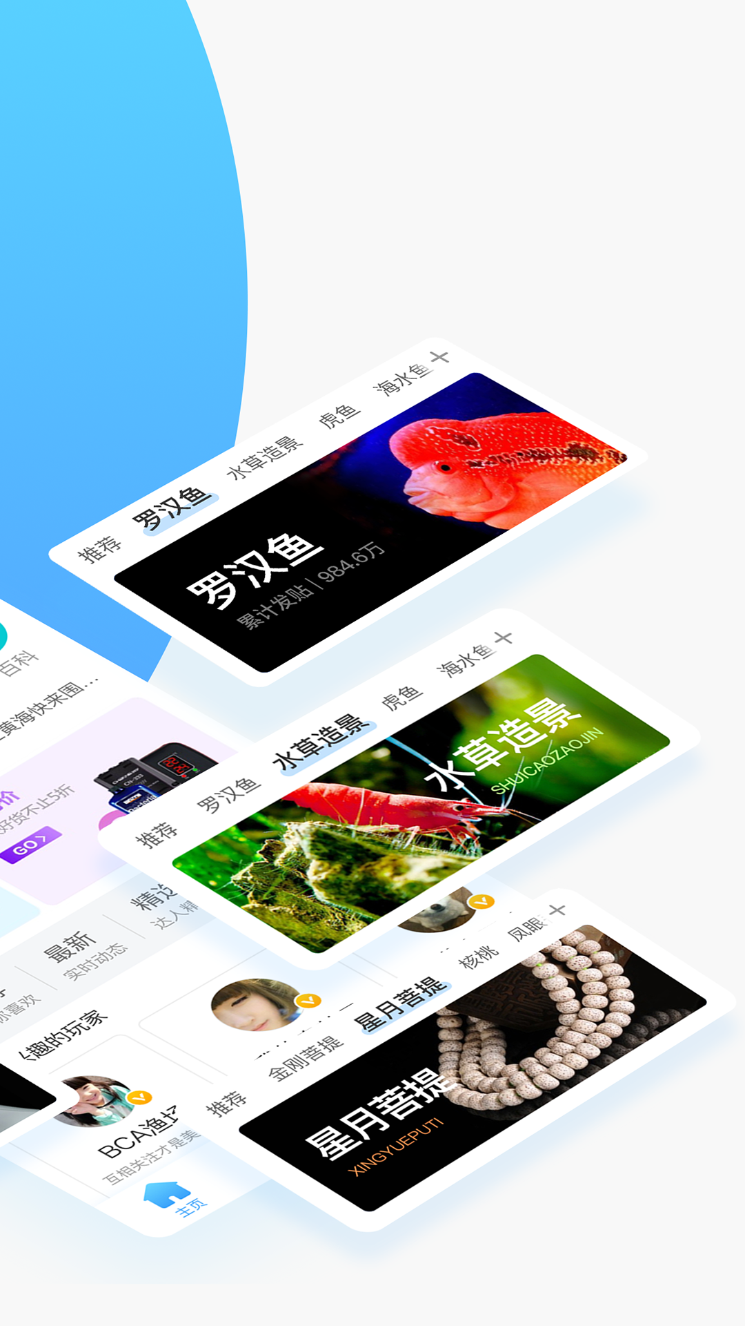 龙巅app