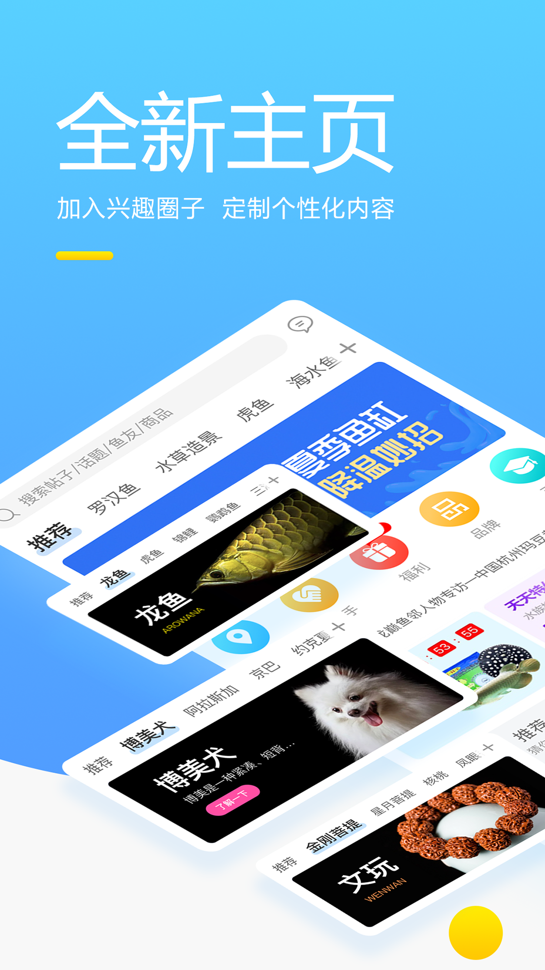 龙巅app