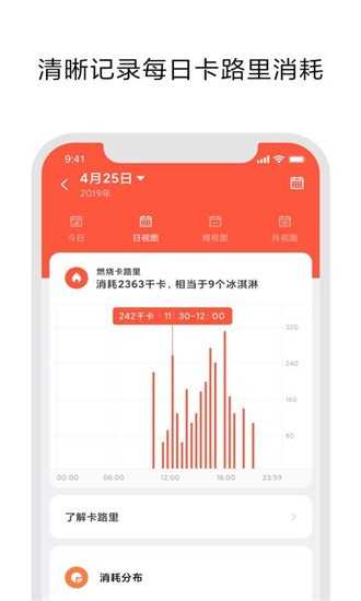小米穿戴Lite（Xiaomi