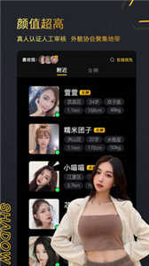 影子2.1