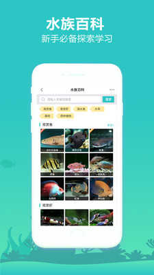 泡泡水族