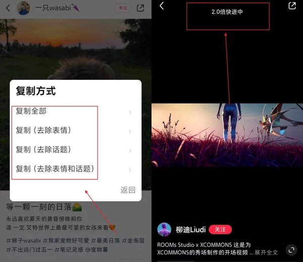 小红书助手