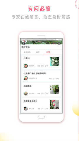 花信一对一聊天