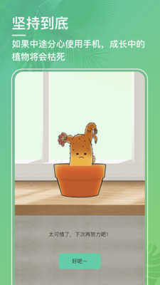 口袋植物3.4.6