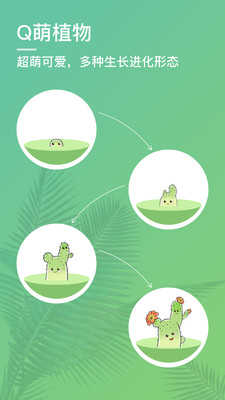 口袋植物3.4.6