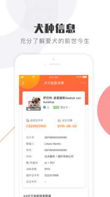 K9犬网2.8.0