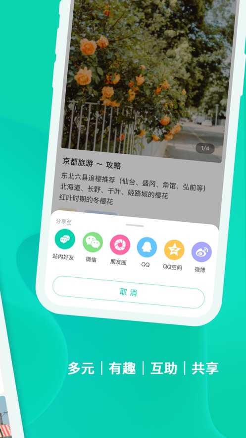 PapTop1.2.5