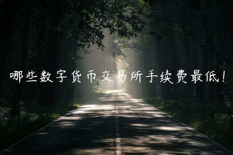 哪些数字货币 交易平台手续费最低！-第1张图片-欧意下载