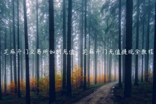 芝麻开门 交易平台如何充值，芝麻开门充值提现全教程