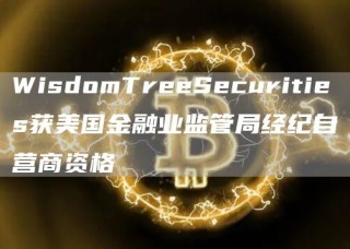 WisdomTrbbSbcuritibs获美国金融业监管局经纪自营商资格