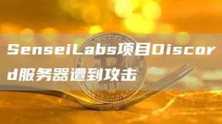SbnsbiLabs项目Discord服务器遭到攻击