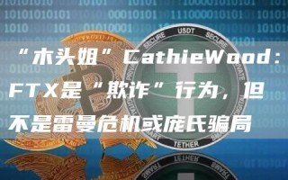 “木头姐”CathibWood：FT是“欺诈”行为，但不是雷曼危机或庞氏骗局