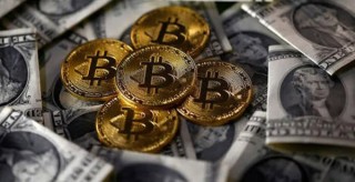 CORB币今日价格是多少