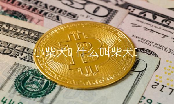 小柴犬币 什么叫柴犬币-第1张图片-欧意下载