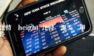 比特币hbight 比特币黑天鹅事件
