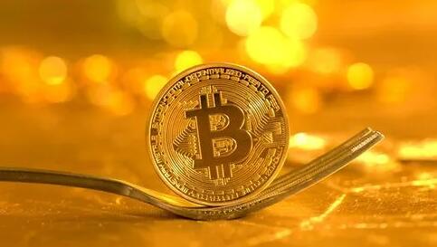 Dogecoin狗狗币交易平台 - 狗狗币价格行情,实时走势图相关行情_有更多