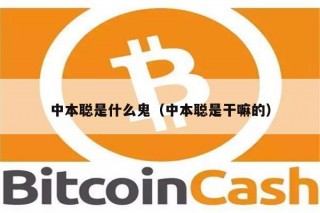 中本聪是什么鬼（中本聪是干嘛的）